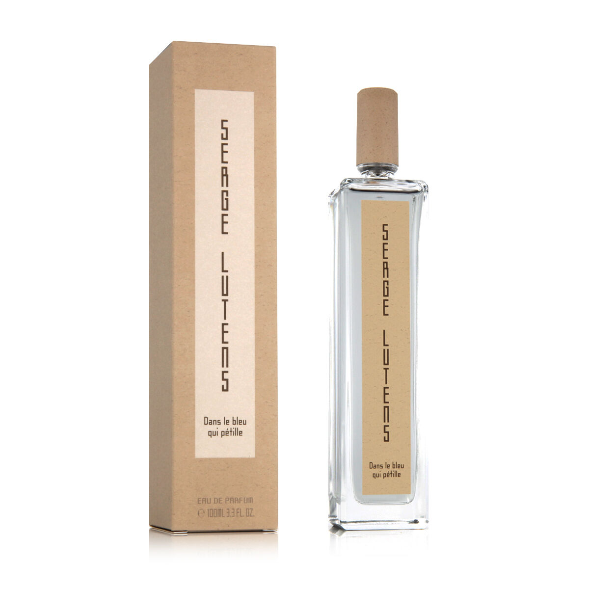 Bleu De Chanel Chanel Parfum150ml Perfume para Hombre - Tienda Abierta
